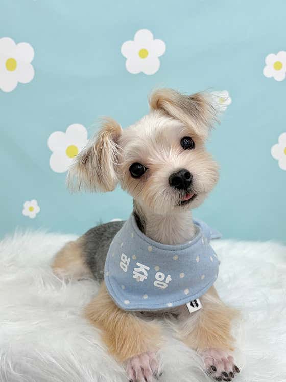 멍쥬앙 · 네이버 지도·플레이스 5