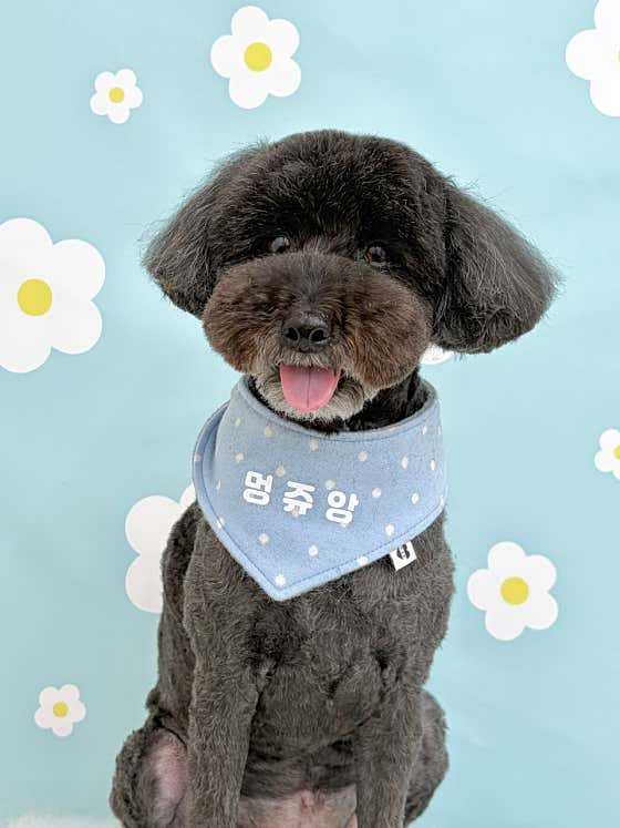 멍쥬앙 · 네이버 지도·플레이스 3