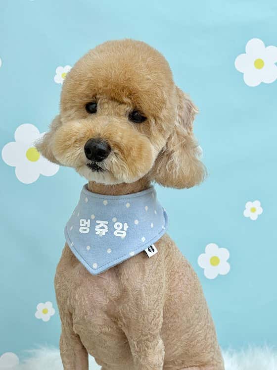 멍쥬앙 · 네이버 지도·플레이스 7