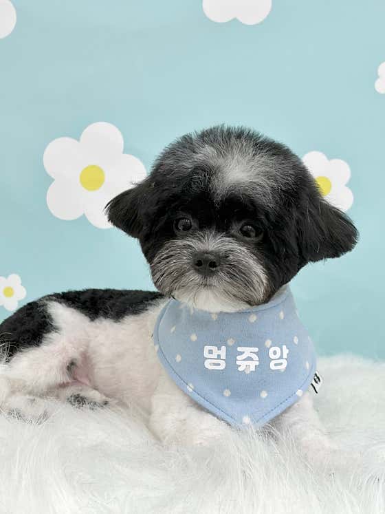 멍쥬앙 · 네이버 지도·플레이스 6