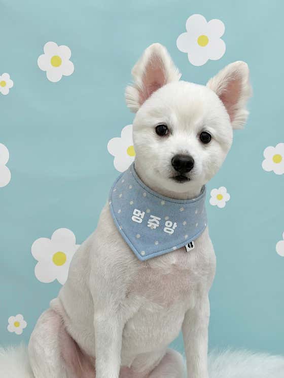 멍쥬앙 · 네이버 지도·플레이스 10