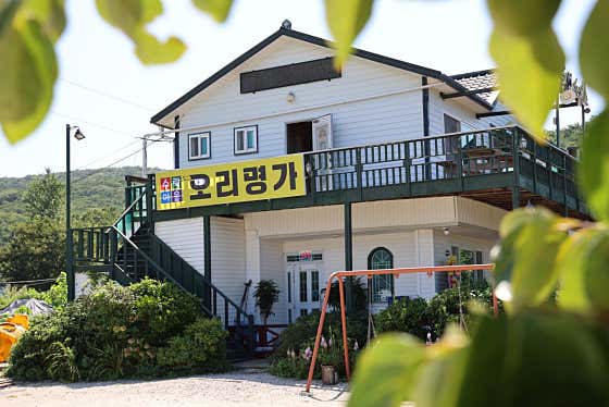 수락마을오리명가 · 네이버 지도·플레이스 10