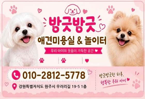 방긋방긋애견미용실