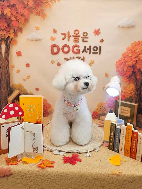 로운이네살롱 · 네이버 지도·플레이스 8