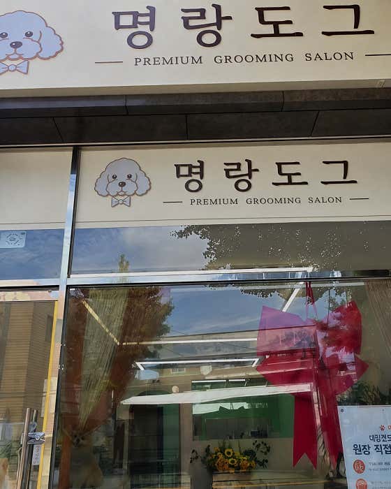 명랑도그