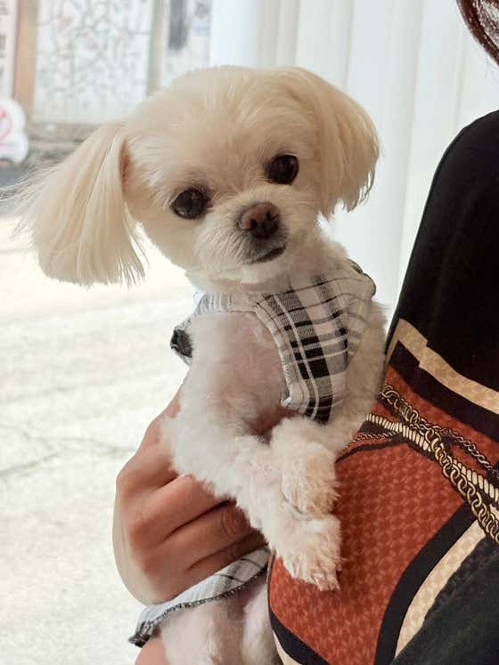 스파클 비 · 네이버 지도·플레이스 7