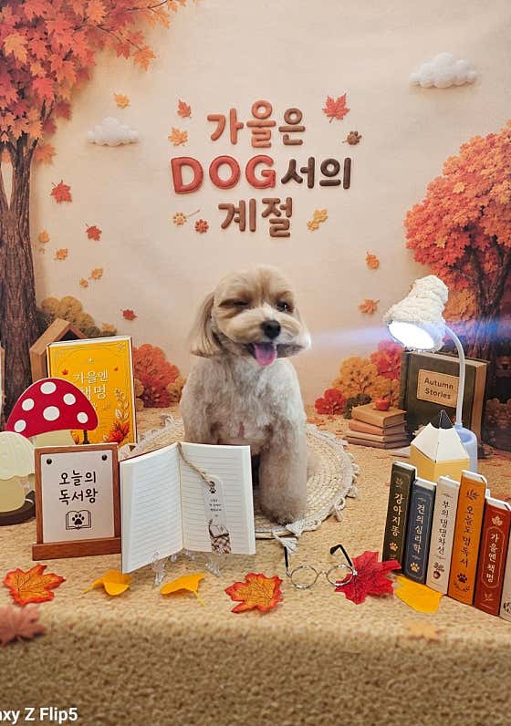 로운이네살롱 · 네이버 지도·플레이스 7