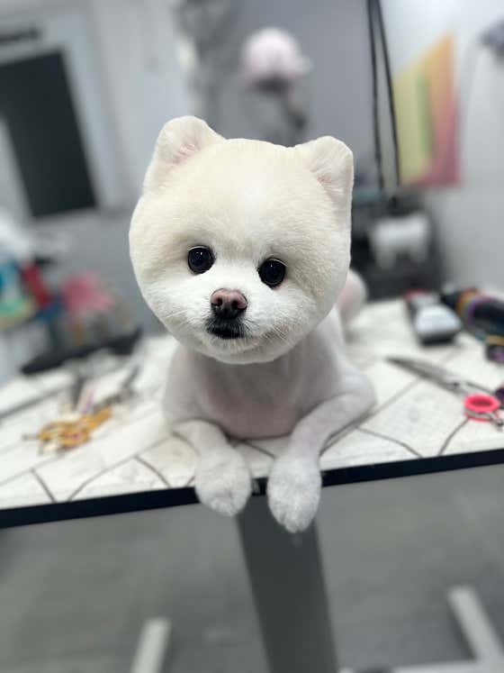복희쌀롱 · 네이버 지도·플레이스 8