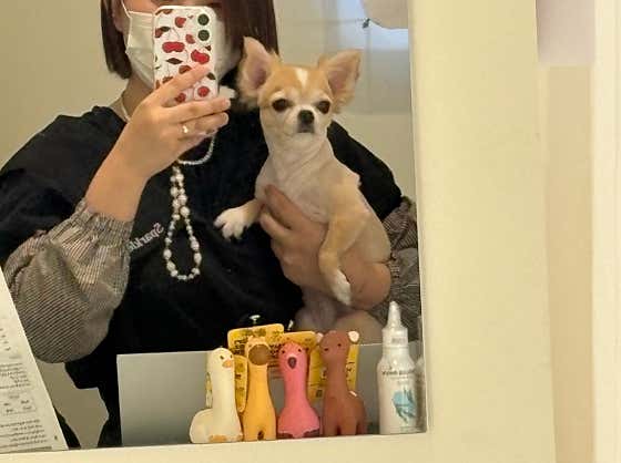 스파클 비 · 네이버 지도·플레이스 5