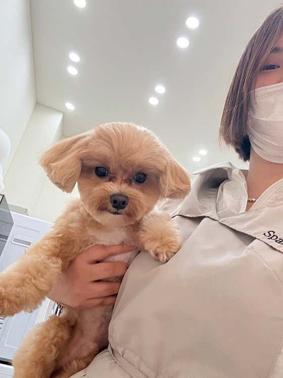 스파클 비 · 네이버 지도·플레이스 2