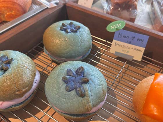계절 크림치즈 베이글(시즌) 메뉴 사진(네이버)