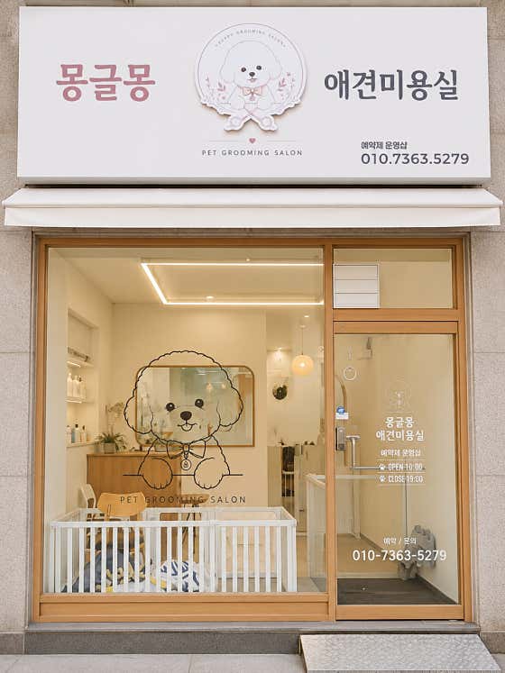 몽글몽 애견미용실