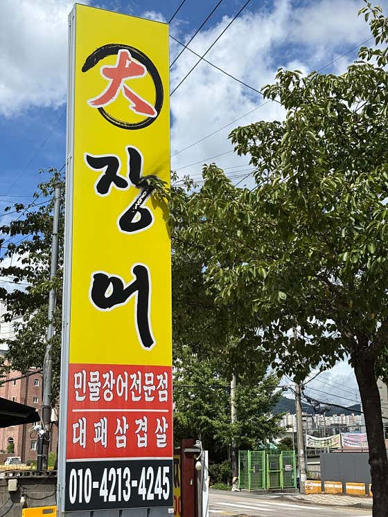 대장어