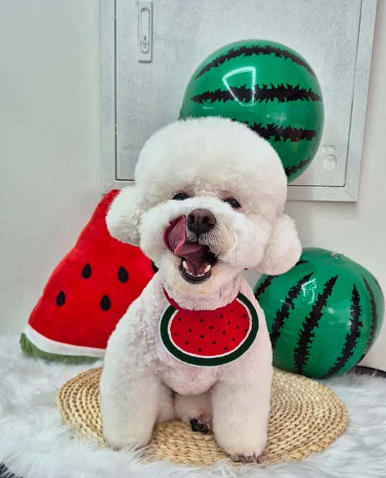 멍 끌레르