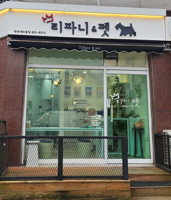 티파니펫 · 네이버 지도·플레이스 1