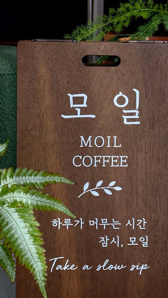 모일