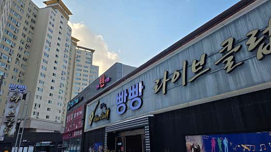 빵빵라이브