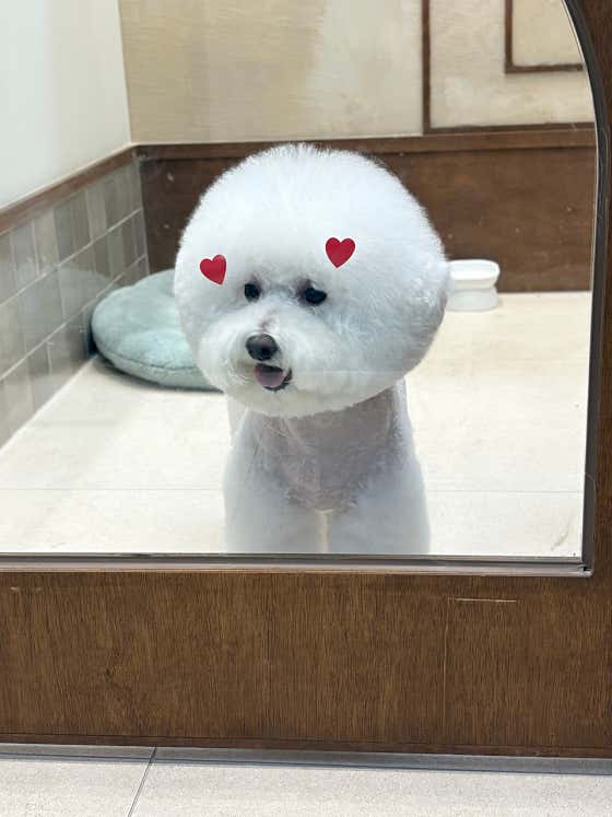헤이미 · 네이버 지도·플레이스 6