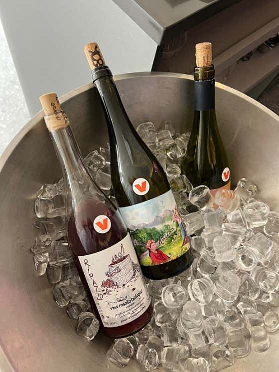 Natural wine(레드,화이트) 메뉴 사진(네이버)