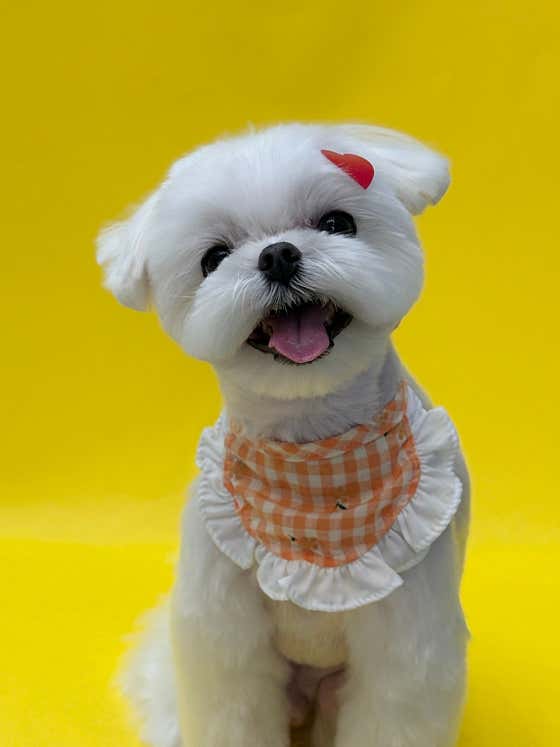 헤이미 · 네이버 지도·플레이스 5