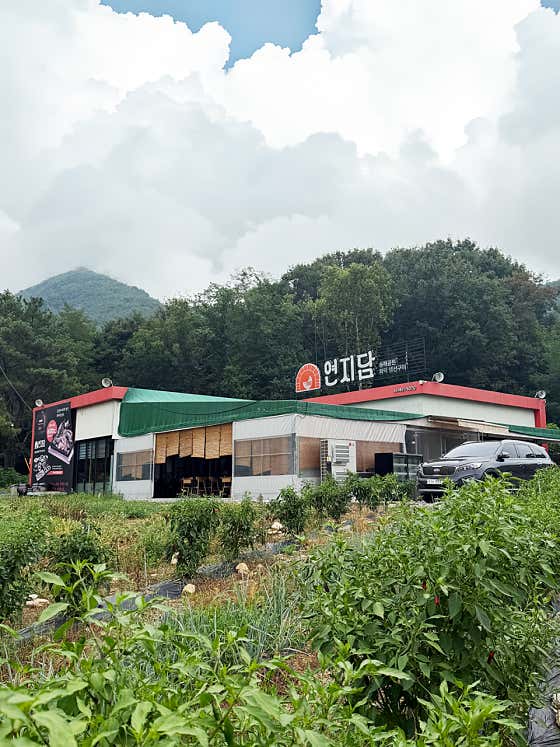 송해공원 연지담