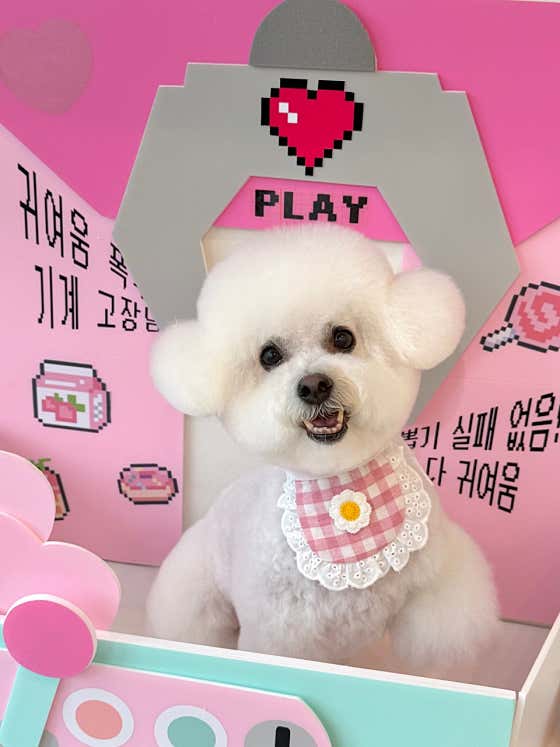 캐시앤테디 · 네이버 지도·플레이스 2