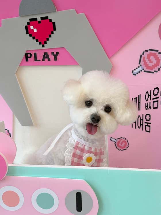 캐시앤테디 · 네이버 지도·플레이스 3