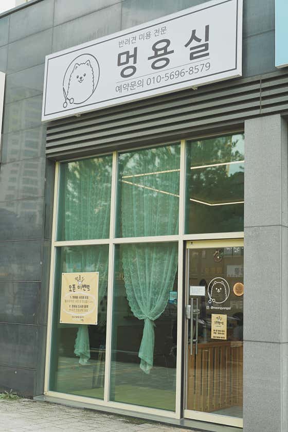 멍용실