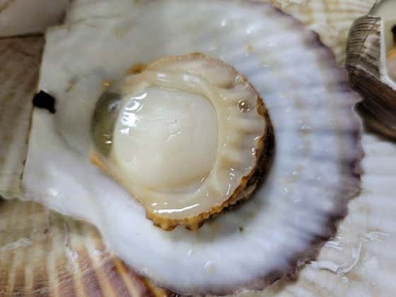 가리비찜 메뉴 사진(네이버)
