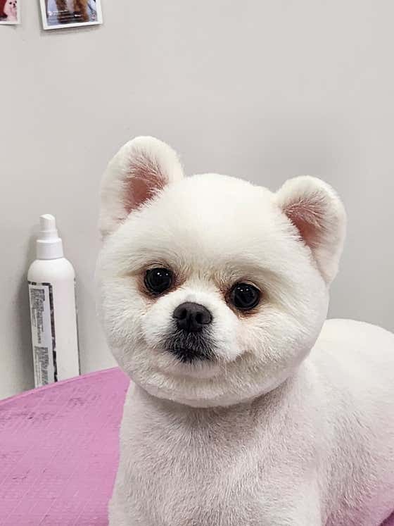 더 빛나개 · 네이버 지도·플레이스 10