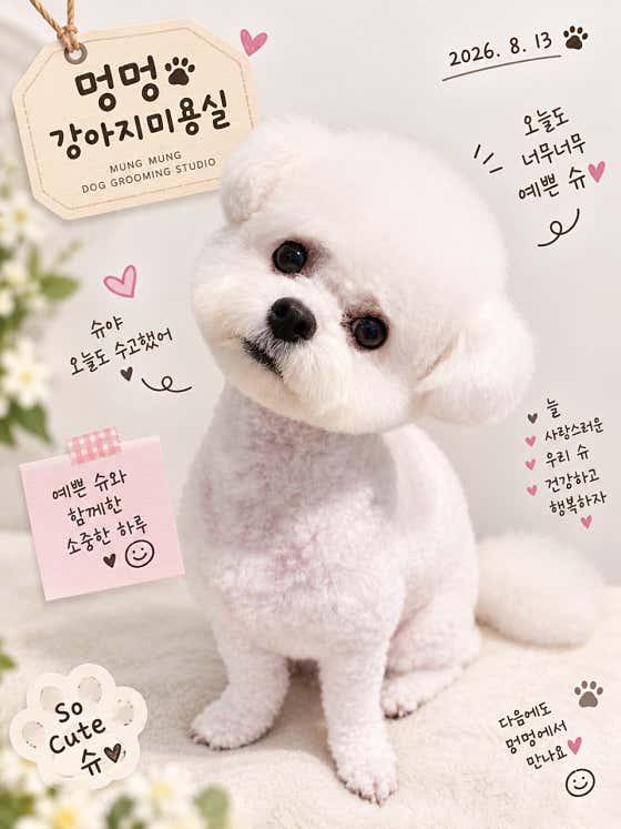 멍멍 강아지미용실 · 네이버 지도·플레이스 5