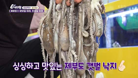 산낙지(뻘낙지) 메뉴 사진(네이버)
