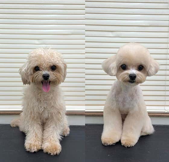 크루멍 · 네이버 지도·플레이스 3