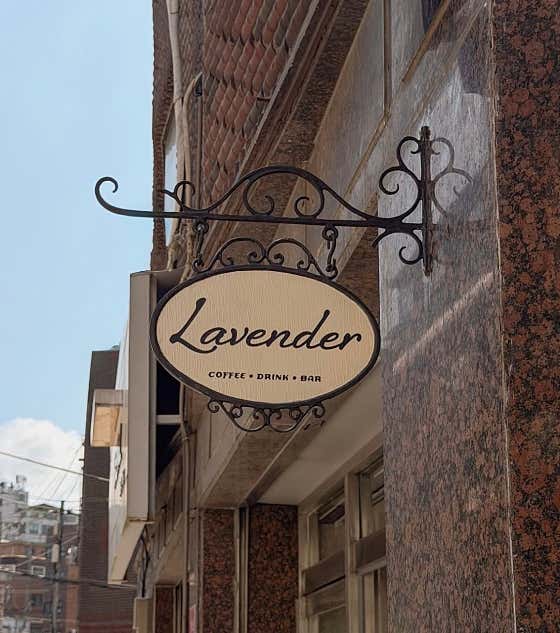 라벤다 lavender