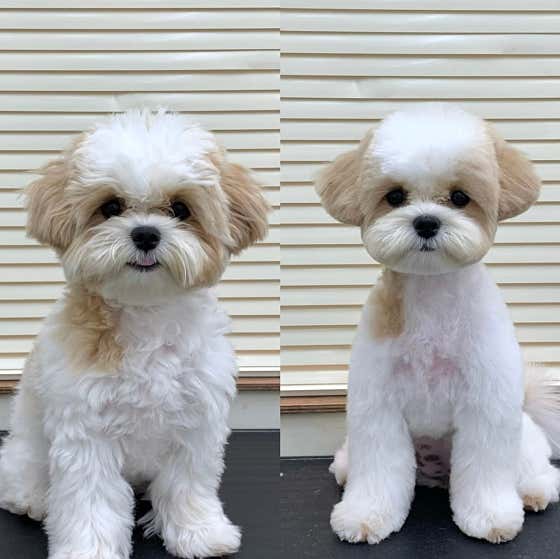 크루멍 · 네이버 지도·플레이스 2