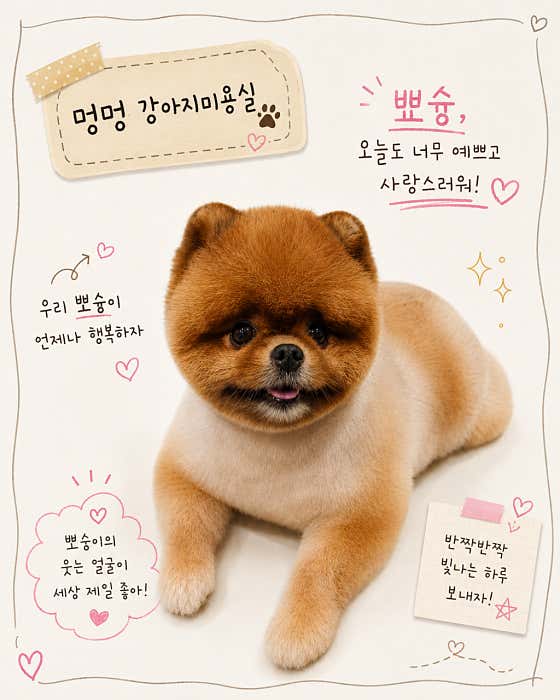 멍멍 강아지미용실 · 네이버 지도·플레이스 6