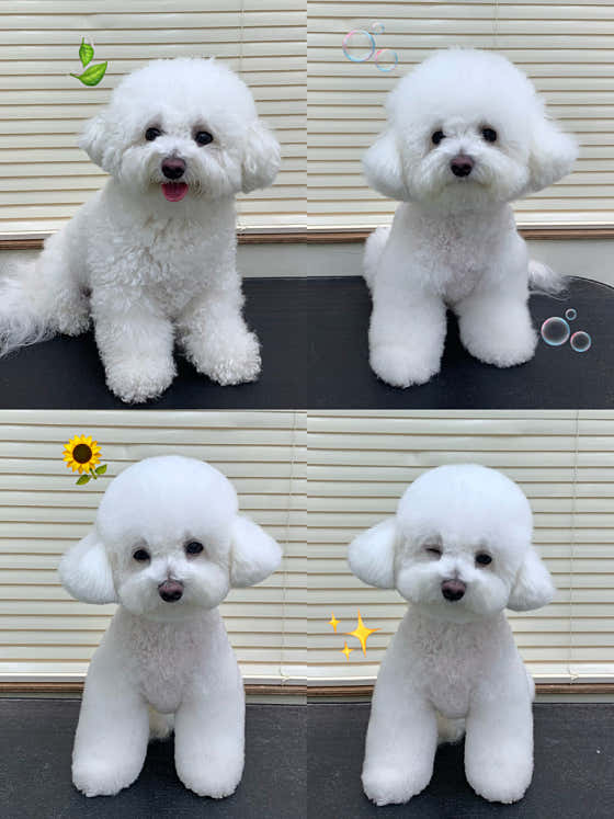 크루멍 · 네이버 지도·플레이스 4