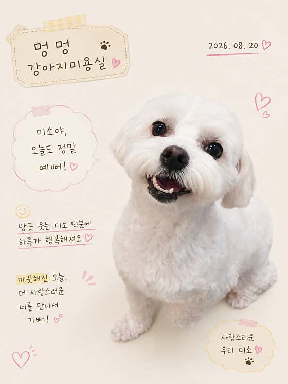 멍멍 강아지미용실 · 네이버 지도·플레이스 7