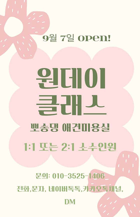 뽀송댕애견미용실 · 네이버 지도·플레이스 2