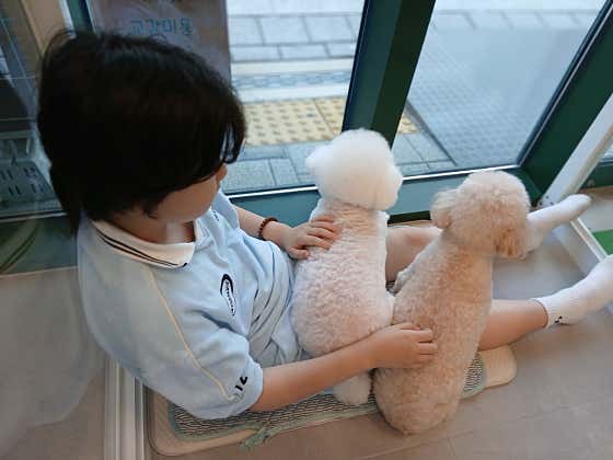 댕댕숲 강아지 미용실 · 네이버 지도·플레이스 6