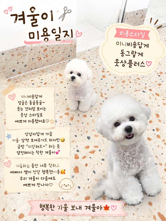 방긋방긋애견미용실 · 네이버 지도·플레이스 3