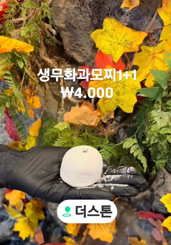 더스톤