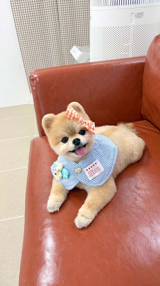 포포 · 네이버 지도·플레이스 3