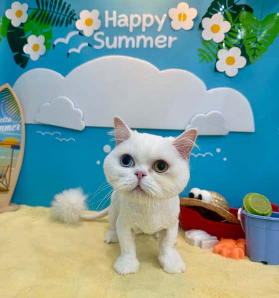 슬기로운 집사생활 · 네이버 지도·플레이스 5