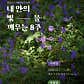 슬로핸드 · 네이버 지도·플레이스 3