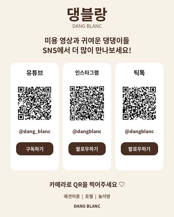 댕블랑 애견미용 & 애견호텔 · 네이버 지도·플레이스 2