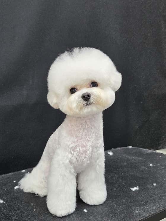 우프살롱 · 네이버 지도·플레이스 9