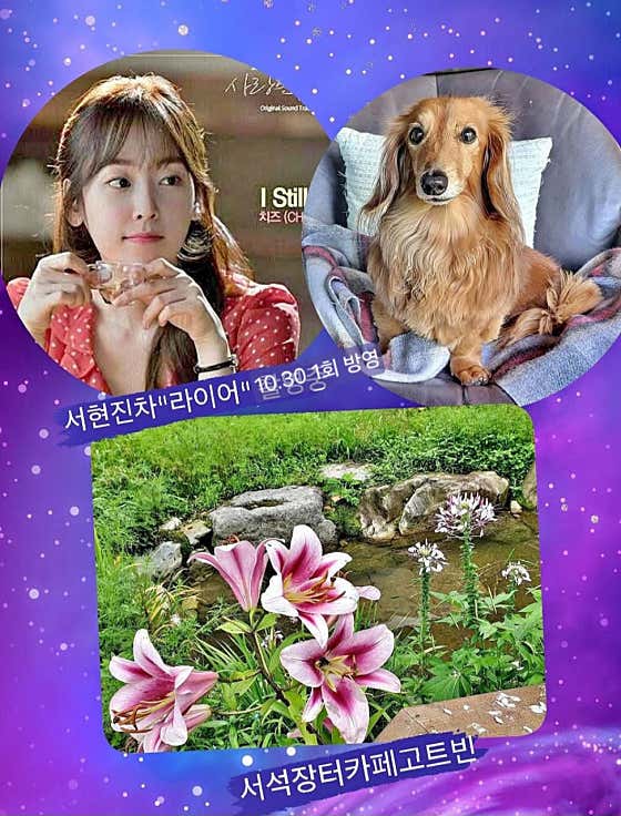 고트빈