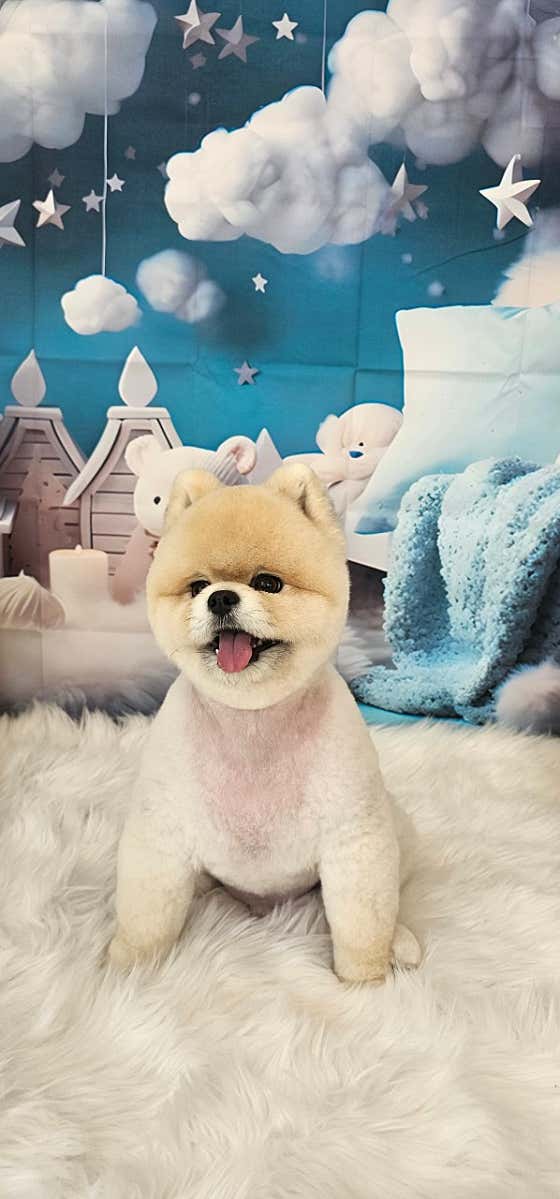 더 빛나개 · 네이버 지도·플레이스 4