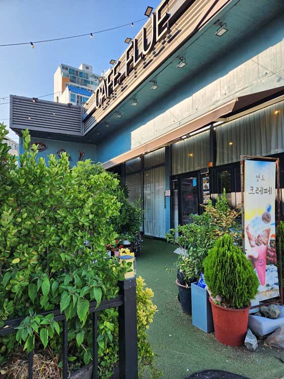 카페플루 · 네이버 지도·플레이스 7